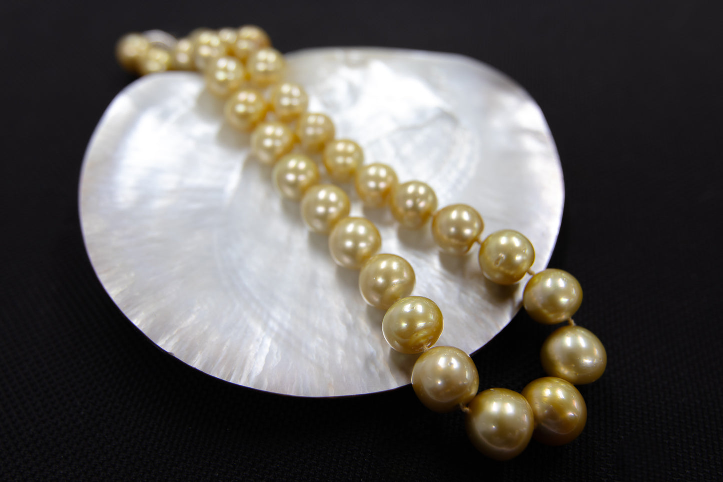 12-14mm Gold South Sea Off Round Strand
