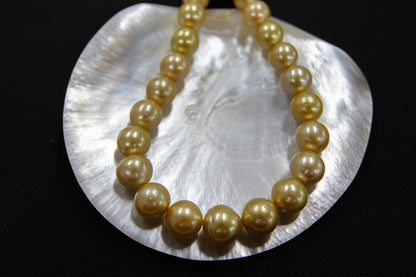 14-17mm Gold South Sea Off Round Strand
