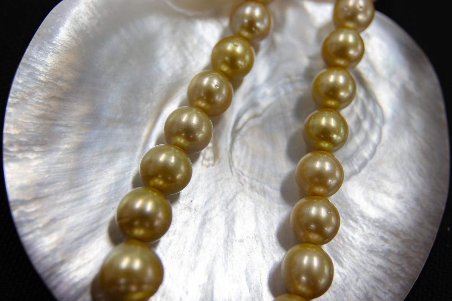 14-17mm Gold South Sea Off Round Strand