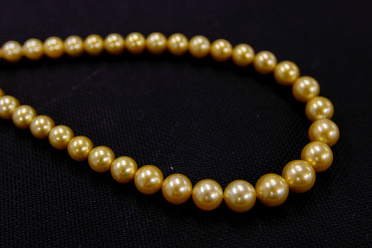 10-13mm Gold South Sea Round Strand